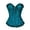 Mint Green, variant on Women's Sexy Lace Bodice Waist Corset Solid Color Shapewear,Color:Mint Green