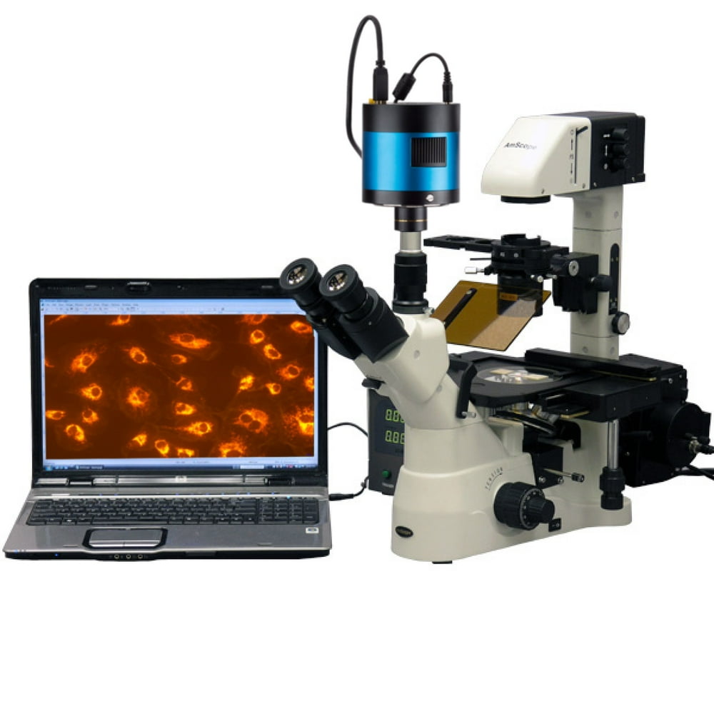 Led fluorescence microscope light source