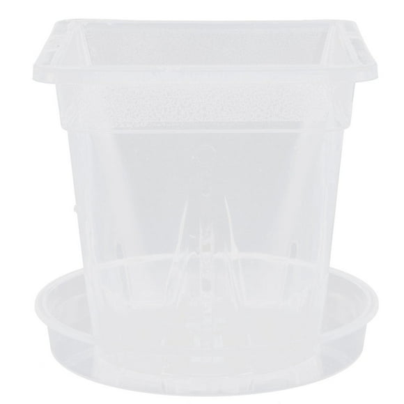 LEEYNEER 5 Sets Orchid Pots Clear Large Live Plants Glasses Planter