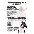 thumbnail image 4 of Collar Para Perro Dorado Cadena Cubana Con Incrustaciones, 4 of 4