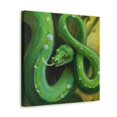 thumbnail image 5 of Green Tree Python Beauty - Canvas, 5 of 25