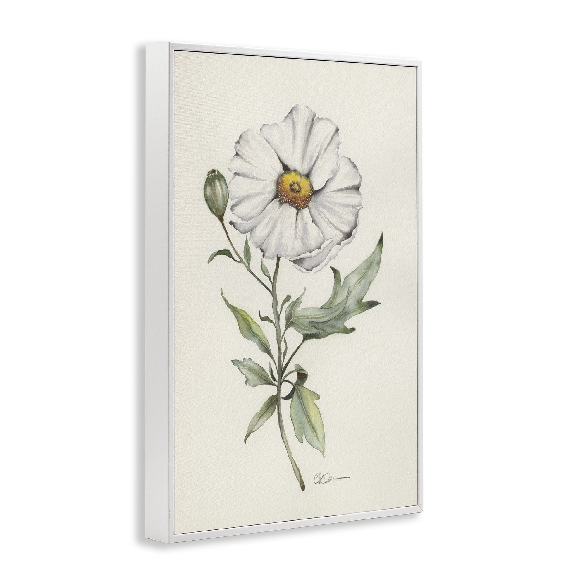 Stupell Industries Natural Wild Blossom Sprig White Framed Giclee Art, design by Cady Driver