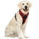 thumbnail image 1 of Arnés para perros Rabbitgoo sin tirones, ajustable, negro y rojo, XL, 1 of 7