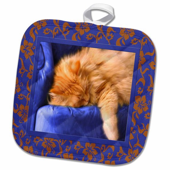 3dRose, Kouch Kitty, 8x8 Potholder