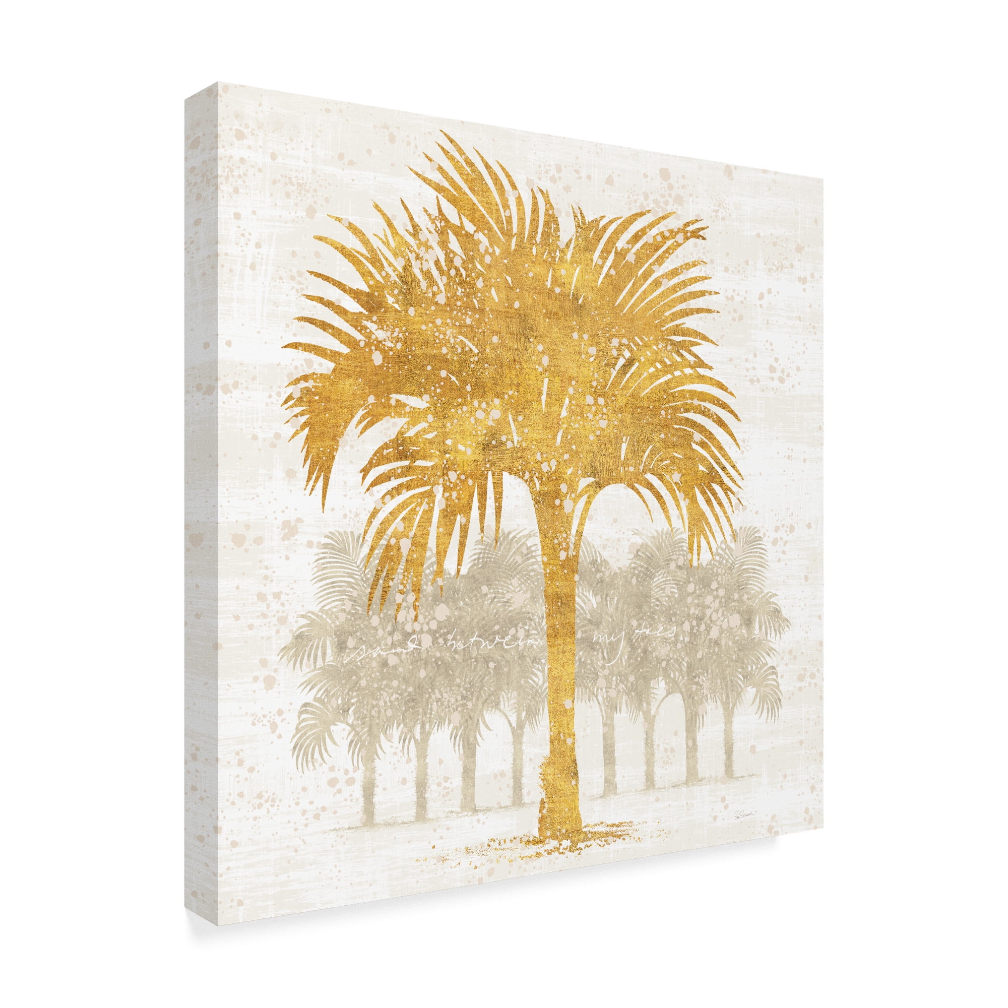 Trademark Fine Art 'Palm Coast IV' Canvas Art by Sue Schlabach