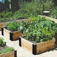 thumbnail image 6 of 4 Pack Black Raised Garden Bed Corner Brackets with Wood Screws for 20"-24" Bed, Rust Resistant Raised Bed Corners Metal Connectors 11" for Vegetable Planter Garden, 6 of 7