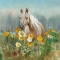 thumbnail image 2 of Great Art Now Farm and Field II by Danhui Nai Framed Wall Art 20"W x 20"H, 2 of 3