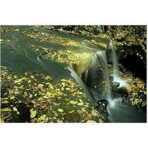 Trademark Art "Fall Falls" Canvas Art by Kurt Shaffer