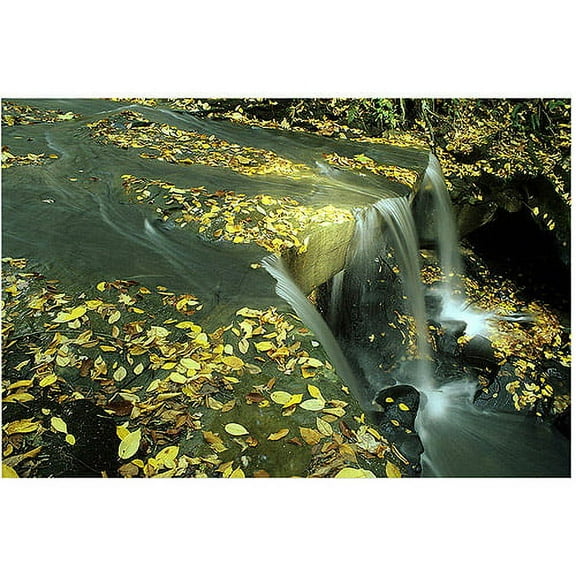 Trademark Art "Fall Falls" Canvas Art by Kurt Shaffer