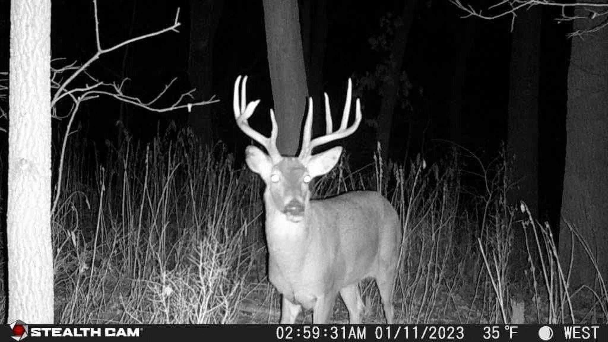 Stealth Cam Deceptor NO GLO 80ft Detection & IR Range 40MP Photo 1440P HD Video Capture Remote App Contol Wireless Hunting Cellular Trail Camera - Available on AT&T & Verizon