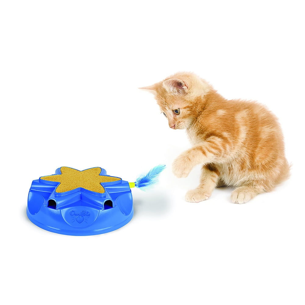 catty whack toy