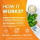 thumbnail image 3 of Supplement Doctor's Best Benfotiamina 300 mg 60 cápsulas vegetarianas, 3 of 7