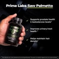 thumbnail image 2 of Prime Labs Saw Palmetto for Men - Prostate & Urinary Health Supplement, Hair Loss Support, DHT Blocker - 20:1 High-Potency 350mg of Saw Palmetto Extract per Serving - 90 Capsules / 90-Day Supply, 2 of 9