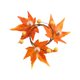 thumbnail image 1 of Festival de la cosecha de Halloween Servilleta de hoja de arce decorativa Vela navideña  de Navidad ANGGREK Otros, 1 of 8