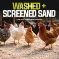 thumbnail image 4 of Sun Joe Chicken Coop Sand, Washed, Screened & Dried, Coarse Grade Poultry Bedding, 50 Lb, 4 of 5