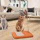 thumbnail image 2 of Juguete rascador interactivo para gatos y gatitos con bola y plumas oscilantes Pluma naranja, 2 of 8
