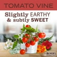 thumbnail image 2 of Mrs. Meyers Clean Day Liquid Dish Soap, Tomato Vine Scent, 16 Ounce Bottle - Pack Of 1 & Lotus Biscoff Cookie - 0.2 Oz - 1 ct, 2 of 5