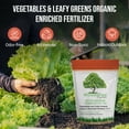 thumbnail image 3 of WonderTree Organics Vegetables and Leafy Greens Organic Enriched Fertilizer, Granular 7-7-7, 4 lbs | Slow-Release Fertilizer, 3 of 9