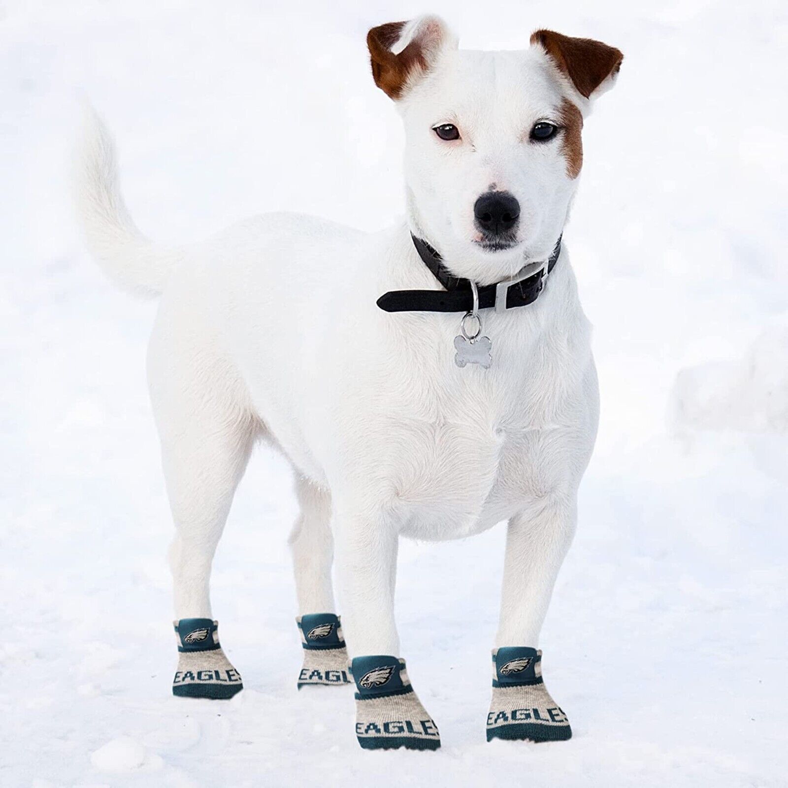 NFL Anti Slip Dog Socks with Elastic Ribbed Top Indoor/Outdoor Paw Protection