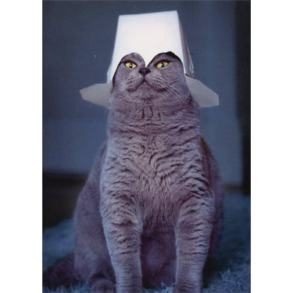 Avanti Press Cat with Take-Out Container on Head Funny Father√¢¬Ä¬ôs Day Card