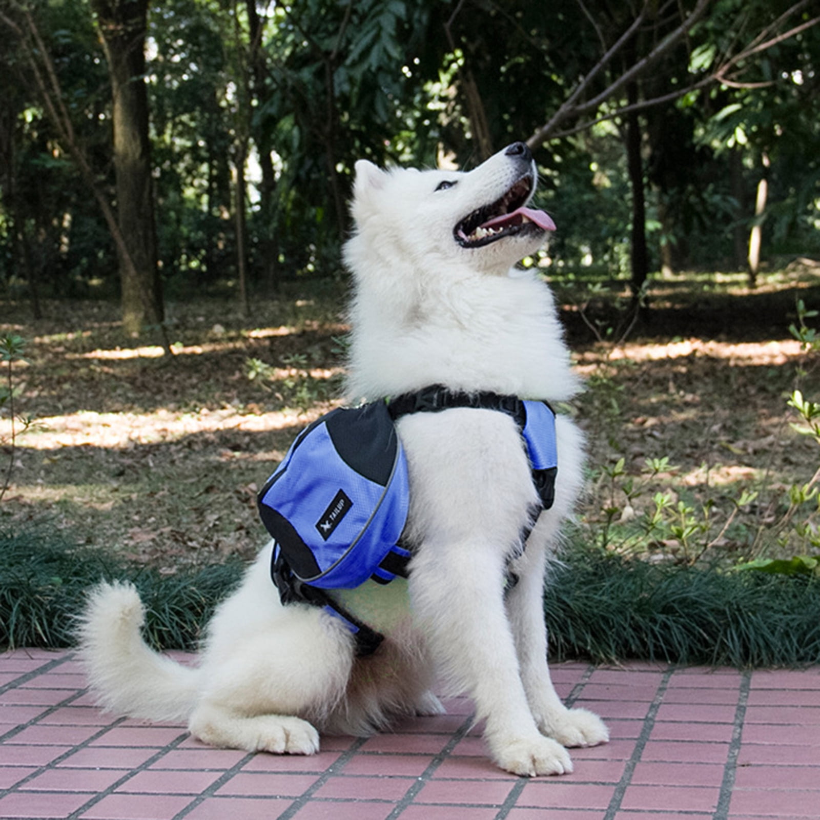 Dog Backpack Outdoor Training Pet Walking Camping Hiking Essential Multifunctional Dog Saddlebag
