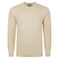 thumbnail image 1 of Peter Gribby Coolmax Crew Neck Jumper, 1 of 1