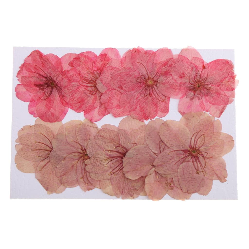 Square Candle Making DIY Handmade Candle Scented  Tools + Natural Pressed Dried Cherry Blossom Flowers