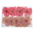 thumbnail image 3 of 10 Unids de Flores Secas con 1 Piece de Elegante Forma de Huevo para Ocasiones Bodas, 3 of 9