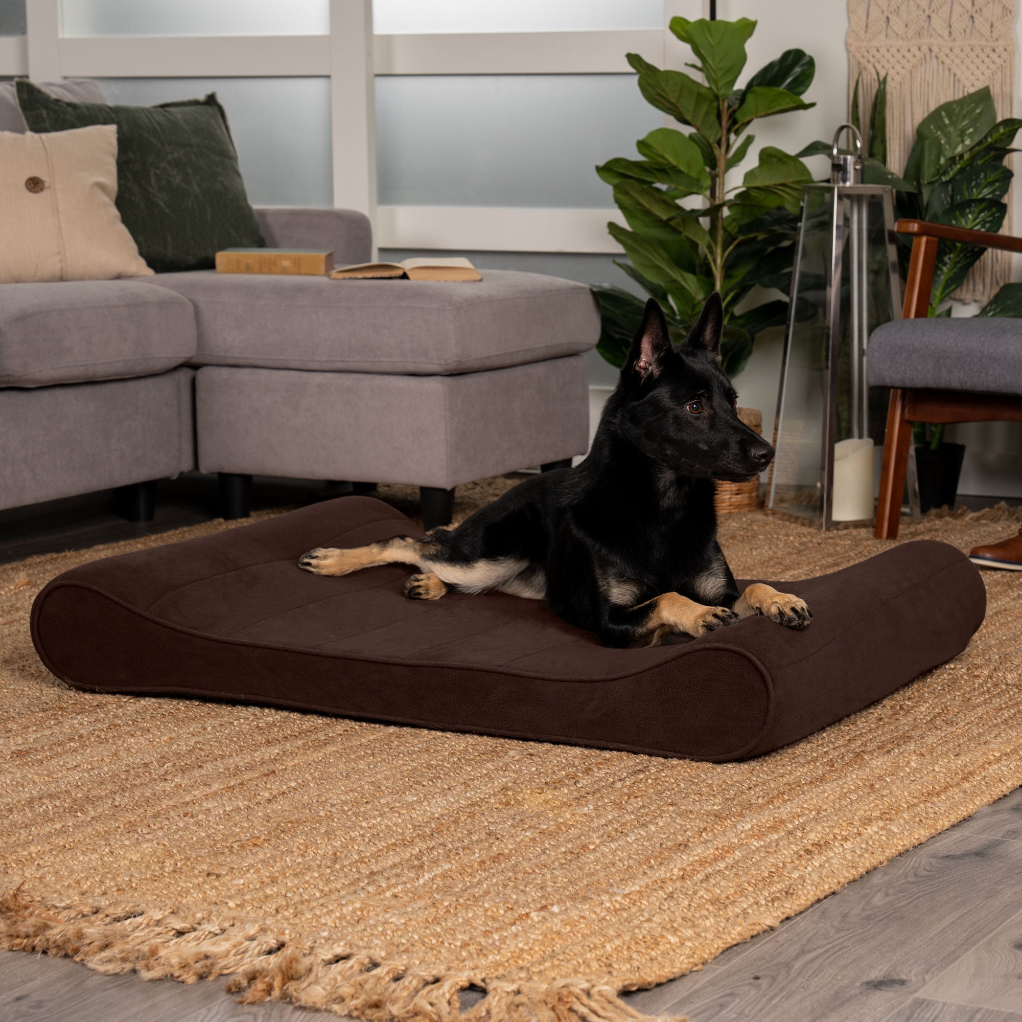 Furhaven XXL Cooling Gel Foam Dog Bed Microvelvet Luxe Lounger w Removable  Washable Cover Espresso Jumbo Plus (XX-Large) 並行輸入品 通販