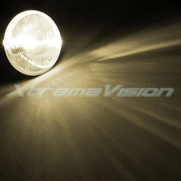 Bec xenon D3S XtremeVision® - 5000K 