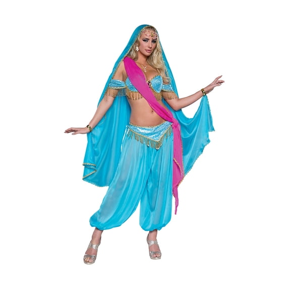 Deluxe Exotic Jewel Of The East Costume, Sexy Blue Princess Costume
