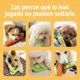 thumbnail image 5 of Kit de Juguetes Interactivos para Perro con Sonido, Mordederas y Pelotas para Cachorros y Perros Pequeños, 5 of 5