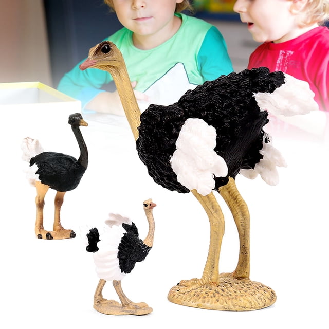 Solid Simulation Animal Ostrich Model Home Decoration Accessory Model Display