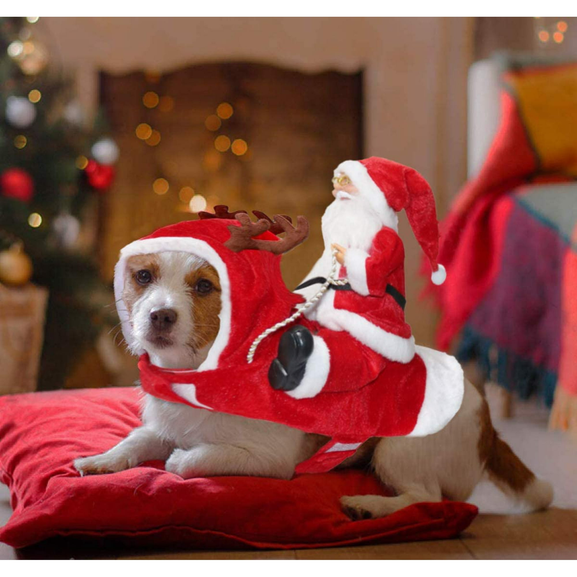 Large dog santa outfit sales