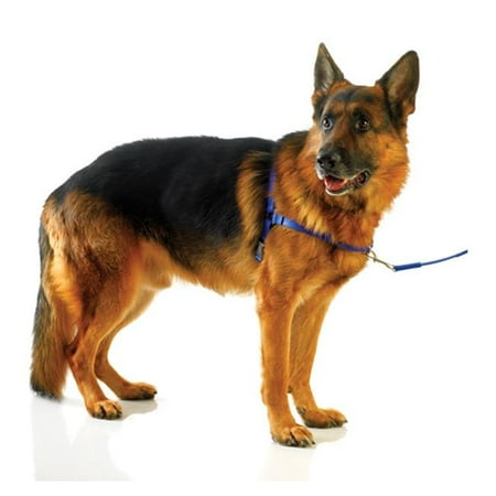 UPC: 0692231066568 | Ultrahund 4136-RY-XS Freedom Harness  Royal – Extra Small