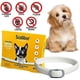 thumbnail image 1 of ZHAOCHENG Collar antiparasitario para perros pequeños 48cm Antipulgas, 1 of 3
