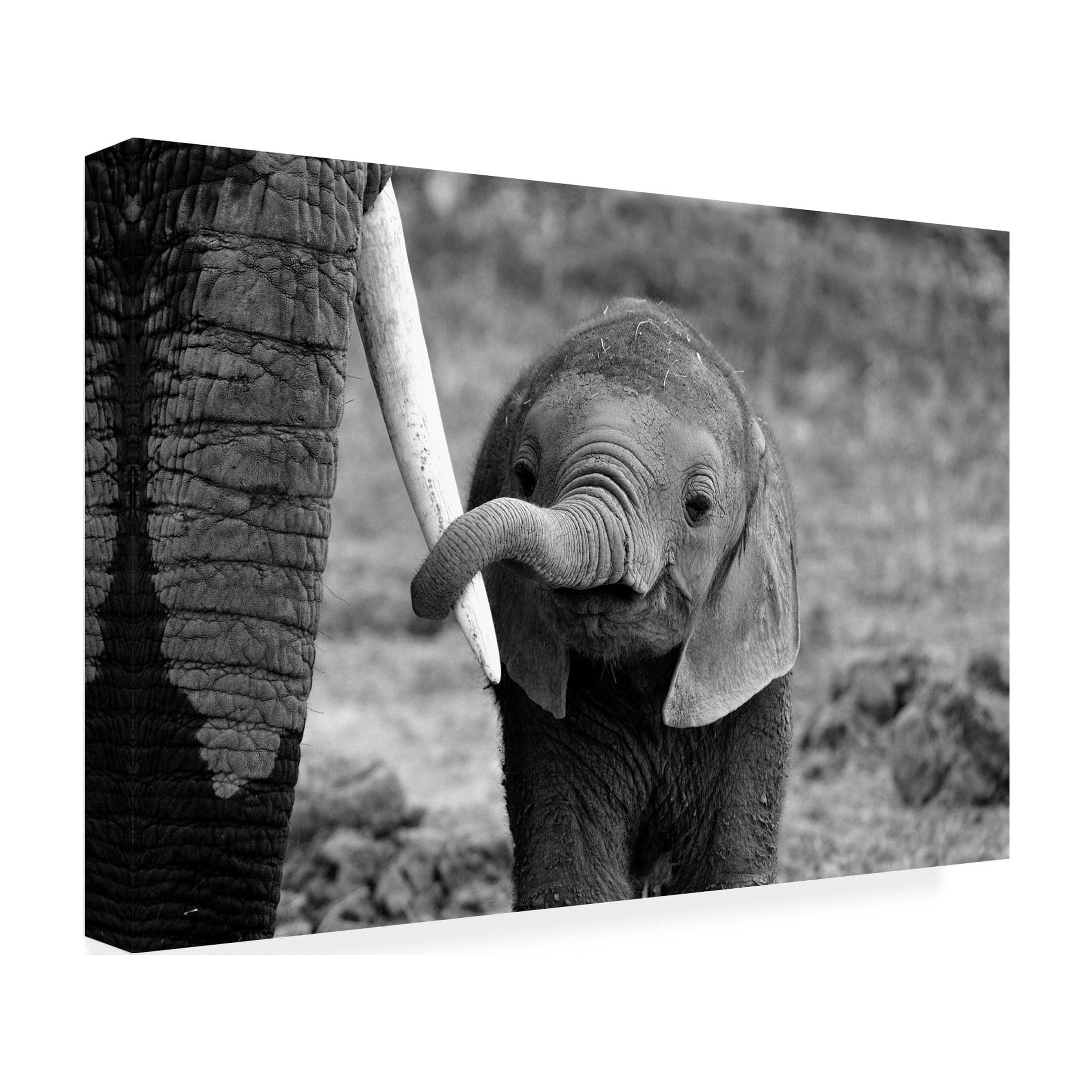 Bjoern Alicke 'Close' Canvas Art