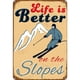 thumbnail image 1 of Letrero Hojalata Metal Life Is Better Pintura Hierro Rectangular Del para Pared 30x40cm, 1 of 10