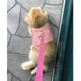 thumbnail image 7 of Rabbit Harness Leash, Adjustable Bunny Harness Leash Cute Vest Harness for Rabbit Ferret Bunny Kitten Guinea Pig Walking, 7 of 7