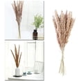 thumbnail image 3 of 20Pcs Pampas Grass, 60Cm Natural Pampas Flower Dried Flower Bouquet For Vases, Boho Decoration Bedroom Home Living Room, Wedding Photograph Table Decoration, Natural Pampas Grass Reeds, 3 of 6