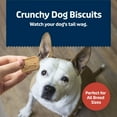 thumbnail image 4 of Blue Buffalo Health Bars Crunchy Dog Biscuits, Bacon, Egg & Cheese, 3-lb. Box, 4 of 9