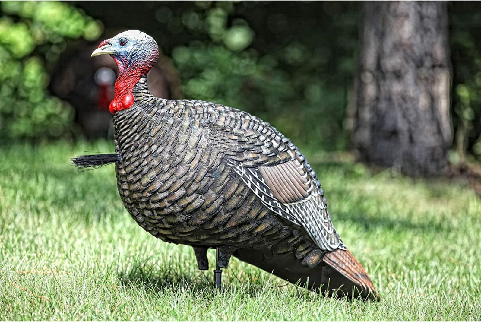 CintBllTer Jake Quarter Strut Decoy, Camo