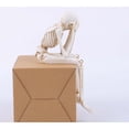 thumbnail image 6 of 3 Pack Halloween Statues No-Evil Skeleton Collectible Figurines,Realistic See Speak Hear No Evil Skull Decorations for Gothic Home Decorations, Shelf Mantel Decor,Tabletop Halloween Decor Indoor, 6 of 6