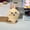 115-2, variant on Chiikawa Usaki Xiaobaji Ikawa Cute Plush Pillow Pillow Doll Doll