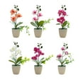 thumbnail image 1 of mmirethe Artificial Potted Flowers Realistic Appearance Versatile Low Maintenance New Simulation Flower A, 1 of 6