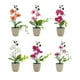 thumbnail image 5 of Matsuzay Flores artificiales en maceta, elegante, duradera, duradera, para interiores o exteriores, nueva flor de simulación Flores artificiales D, 5 of 6