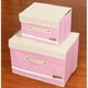 thumbnail image 1 of Caja de Almacenamiento perfecl 2pcs Juguete Ropa Libros Plegable Grande Organizador de Puntos, 1 of 8