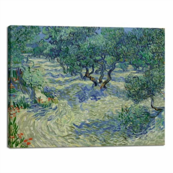 Olive Grove Canvas Print Of Vincent Van Gogh Wall Art Paintings Reproduction