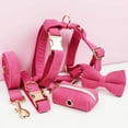 thumbnail image 2 of Red Corduroy Dog Collar And Leash Set With Custom Engraved Nameplate, 2 of 16