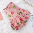 thumbnail image 4 of CBFFDC Pet Apparel Floral Princess Pet Outfit Fruit Pattern Comfortable Summer Puppy Clothing, 4 of 7